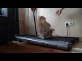 Treadmill - my first steps!