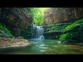 The Sound of Flowing Water & Birds Singing: Natural Sounds for Deep Sleep | Relaxing Sounds