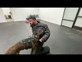 Ozzy - The Dutch Shepherd Trained In Jiu Jitsu | BIG DOGZ