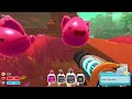 Slime Rancher Season 4: The first 10 days