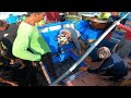 Unang ariya pa lang limang Tonilada agad ang nahuli |  Sea Master Vlog 10