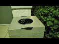 Cute trash panda hiding in trash bin