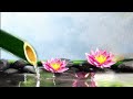 Bamboo Water Fountain and Healing Music - Relaxing Music With The Sounds of Nature