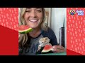 2 Hours Of The Most Surprising Animal Stories You’ll Ever See! | Dodo Kids | Animal Videos For Kids