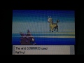 (Safari Week 2017) [Phase 10] Live Reaction! 3rd Shiny Haunter in Pokémon SoulSilver after 6087 REs!