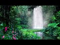 HEALING & PLACID FLOWING WATERFALL. To Release Stress, Anxiety And Achieve Ultimate Relaxation.