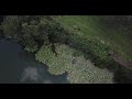Drone Footage Of Bluebell Lake