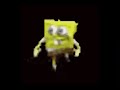 sponge man kambucha