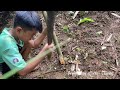 An orphan boy Find and guide water sources to survive in the forest