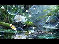 Relaxation Music: soothing water sounds, Full Nature Sound Brain Therapy, Sleep Relaxation, Insomnia