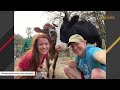 Nobody wanted this cow. Then she met the man of her dreams.