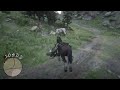 Red Dead Redemption 2_20200506144230