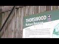 Thorswood Nature Reserve Staffordshire
