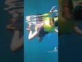 Disney Fantasy | Tortola Snorkeling | Stop 2