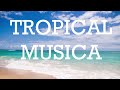 Tropicalhouse music for youtube (No copyright tropical house) 🌴