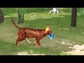 CAT GAMES - CAT ENTERTAINMENT VIDEO FOR CATS TO WATCH - CAT TV FOR CATS (4K 60 FPS)