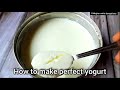 বাড়িতে টকদই বানানোর একদম সহজতম পদ্ধতি | how to make yogurt | curd