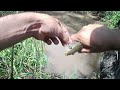 🔥🔥MUCHA pesca en un ARROYITO LLENO DE PECES en el MEDIO del MONTE pesca y cocina