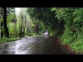 Rain sounds heard on a quiet country road. The sound of rain is perfect for sleep and relaxation