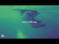 Flo Rida feat. Sia - Wild Ones (Lyrics)