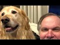 A Tribute to our Golden Retriever, Lucy