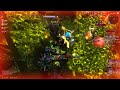 World of Warcraft Dragonflight Patch 10.2 Everbloom M+ 20 Havoc DH POV