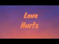 Love Hurts (prod. chrismarek x slaying ibis)