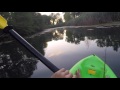 Kayak Fishing for Bass with Topwater Frogs