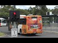 Buses at the Doncaster Park & Ride - Melbourne Transport