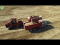 How Farmers Harvest Wheat | Wheat Processing in Factory | Agriculture Technology #31.