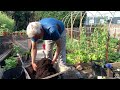 Potato Harvest Reveal – Full Length Video