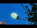 ASMR ADVENTURE | Relaxing Rain & Bird Sounds While Watching The Full Blue Moon | Sleep Help | 109