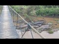 What is the fear of swinging bridge? Overcoming my Fear of Suspension Bridges Nairobi National Park