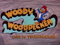 Woody Woodpecker theme (1962-1972)