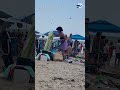 Dragonflies swarm beach!