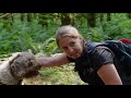 This Truffle Dog is Facing a Really Challenging Truffle Hunt | Smithsonian Channel