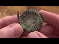 SUPERB ANCIENT SILVERS AND GOLD!!! Metal Detecting Germany Nr.132