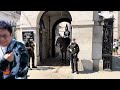 MELTDOWN ARMED POLICE ARE FULL FORCE TO SECURE THE MAJESTIC HORSE AND GUARD