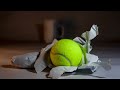 Tennis ball unwrapping stop motion against white monotone objects and background for contrast.