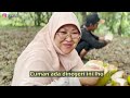 VIDEO UNTUK KAKEK DI KEBUN RAMBUTAN