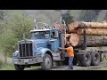 Logging in Washington State - April 2014
