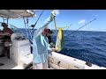 Reeling in a mahi offshore from Charleston SC. Pretty peanut.