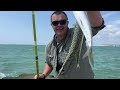 Blast out for Mackerel  Sea Fishing Seaford