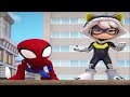 Animated evolution of Spider Man & Black Cat
