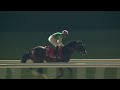 Dubai World Cup Sponsored by Emirates Airline – Laurel River – Dubai World Cup 2024