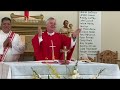 Catholic Mass Today I Daily Holy Mass I Saturday August 10 2024 I English Holy Mass I 5.00 AM