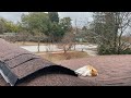 A Morning Roof Nap with Traffic & Light Music-Rest with Toby Ray on this Cloudy Day-