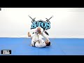 Andre Galvao teaches reverse de la riva sweep secrets