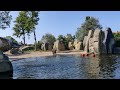 Elephants playing in the water at Amsterdam Zoo