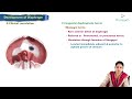 Development of the Diaphragm : Human Embryology